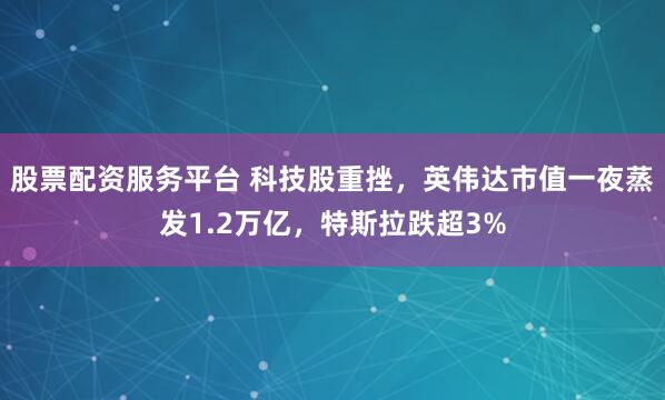 股票配资服务平台 科技股重挫，英伟达市值一夜蒸发1.2万亿，特斯拉跌超3%