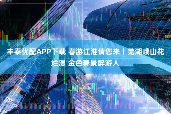 丰泰优配APP下载 春游江淮请您来丨芜湖峨山花烂漫 金色春景醉游人