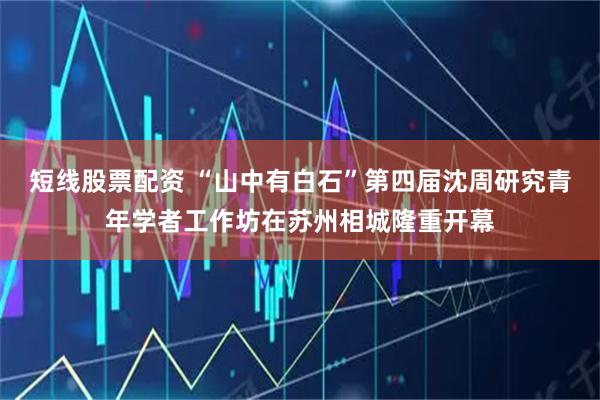 短线股票配资 “山中有白石”第四届沈周研究青年学者工作坊在苏州相城隆重开幕
