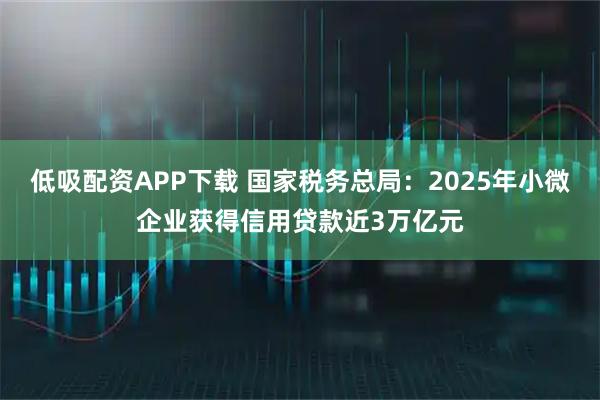 低吸配资APP下载 国家税务总局：2025年小微企业获得信用贷款近3万亿元