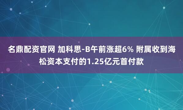 名鼎配资官网 加科思-B午前涨超6% 附属收到海松资本支付的1.25亿元首付款