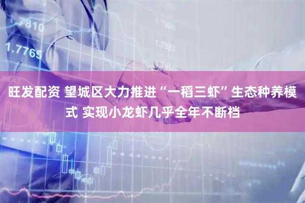 旺发配资 望城区大力推进“一稻三虾”生态种养模式 实现小龙虾几乎全年不断档