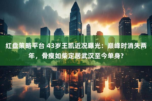 红盘策略平台 43岁王凯近况曝光:巅峰时消失两年,骨瘦如柴定居武汉至今单身?